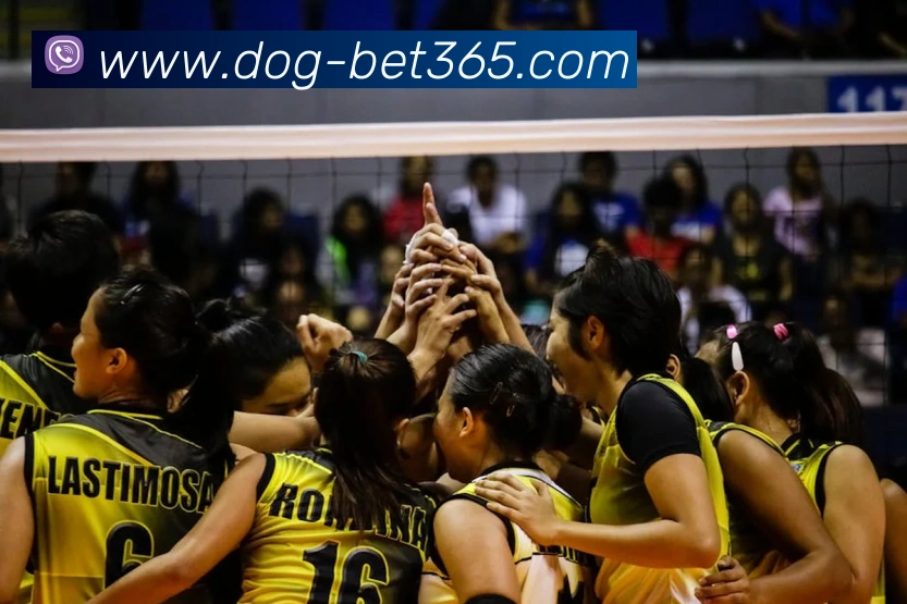 bet365平台生态图